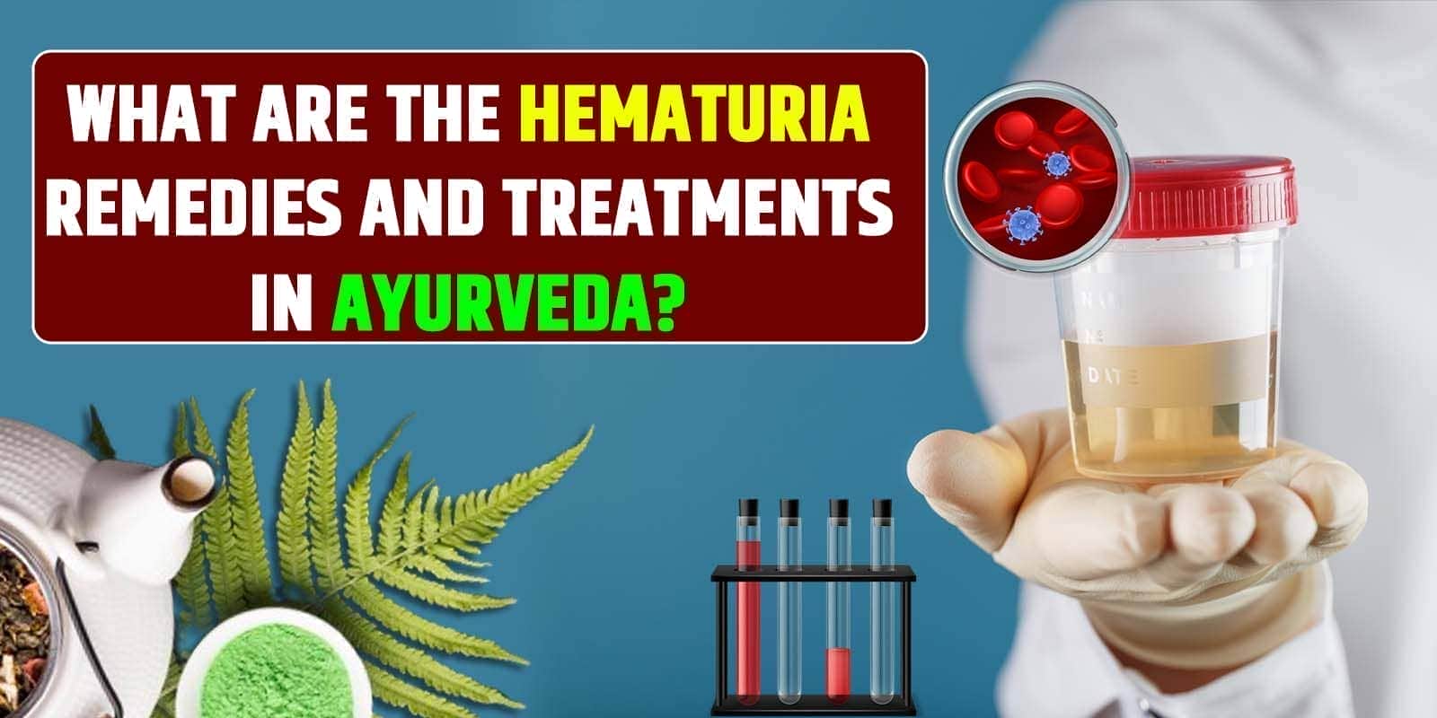 What are the Hematuria remedies and treatments in Ayurveda?